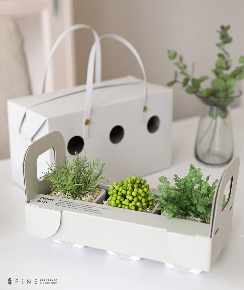 プリザーブドグリーン/誕生日プレゼント女性枯れない観葉植物造花ミニお返し