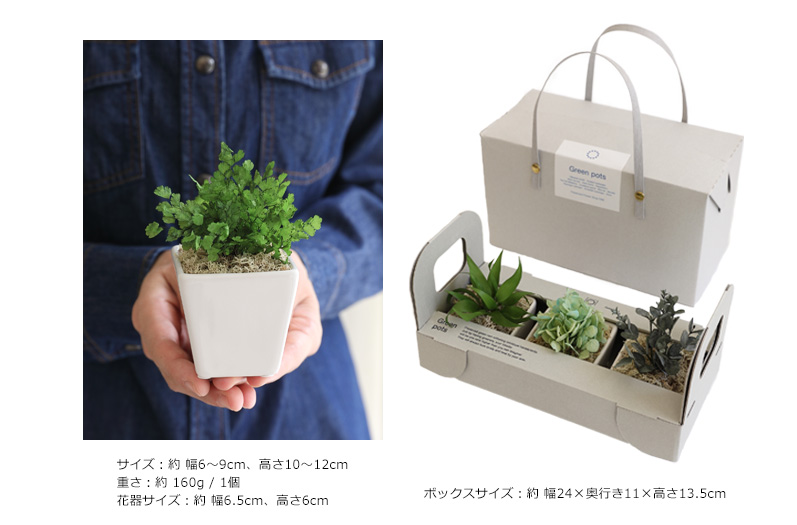 プリザーブドグリーン/誕生日プレゼント女性枯れない観葉植物造花ミニお返し