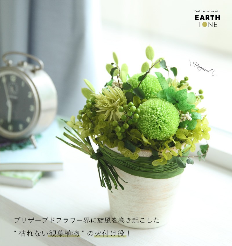 インテリアグリーン 通販