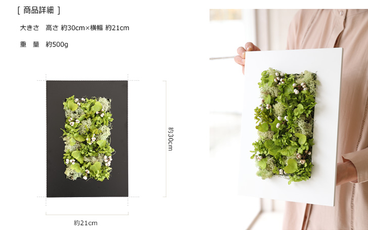 グリーンハート ギフト 壁 飾り フレーム アレンジ 新築祝い 引越し祝い 壁掛け プレゼント インテリア 店舗 装飾 ウォール グリーン ディスプレイ |  | 11