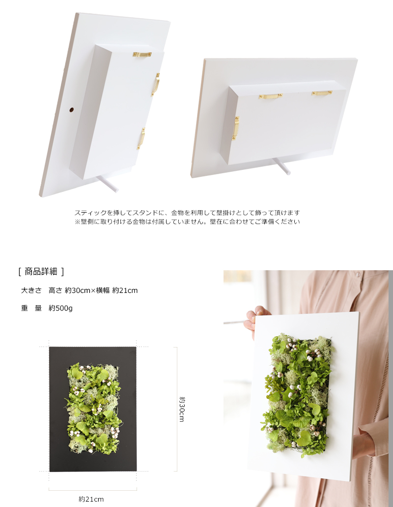 グリーンハート ギフト 壁 飾り フレーム アレンジ 新築祝い 引越し祝い 壁掛け プレゼント インテリア 店舗 装飾 ウォール グリーン ディスプレイ |  | 20