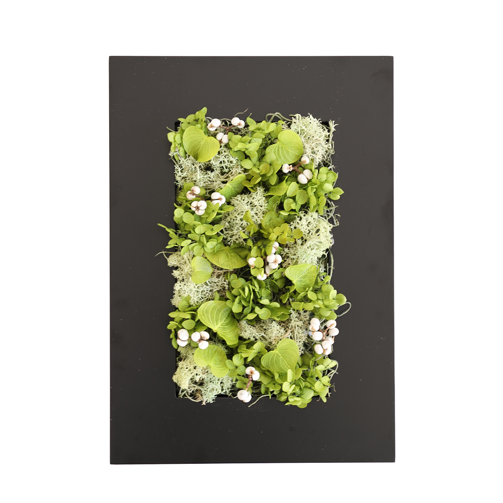 グリーンハート ギフト 壁 飾り フレーム アレンジ 新築祝い 引越し祝い 壁掛け プレゼント インテリア 店舗 装飾 ウォール グリーン ディスプレイ |  | 02