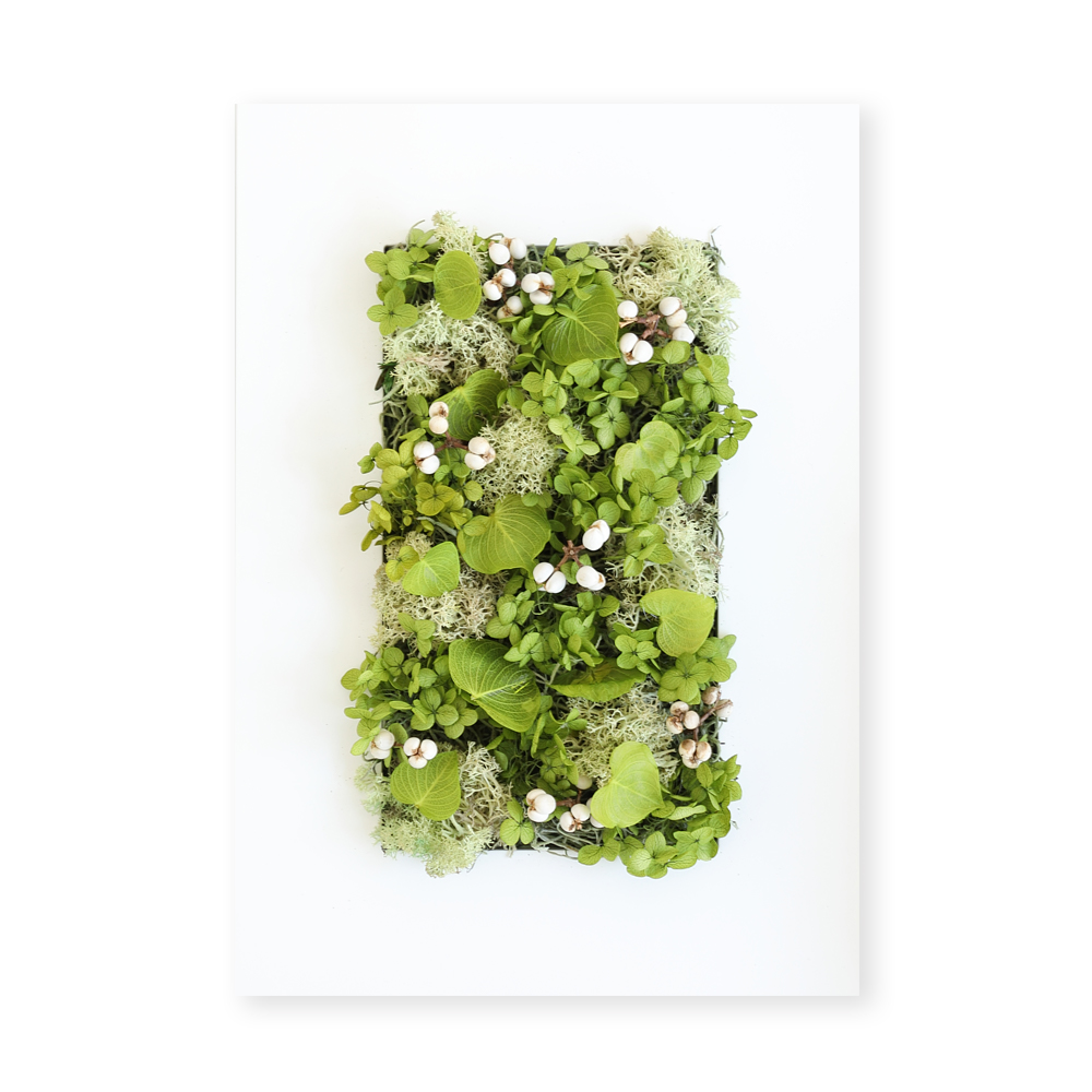 グリーンハート ギフト 壁 飾り フレーム アレンジ 新築祝い 引越し祝い 壁掛け プレゼント インテリア 店舗 装飾 ウォール グリーン ディスプレイ |  | 01