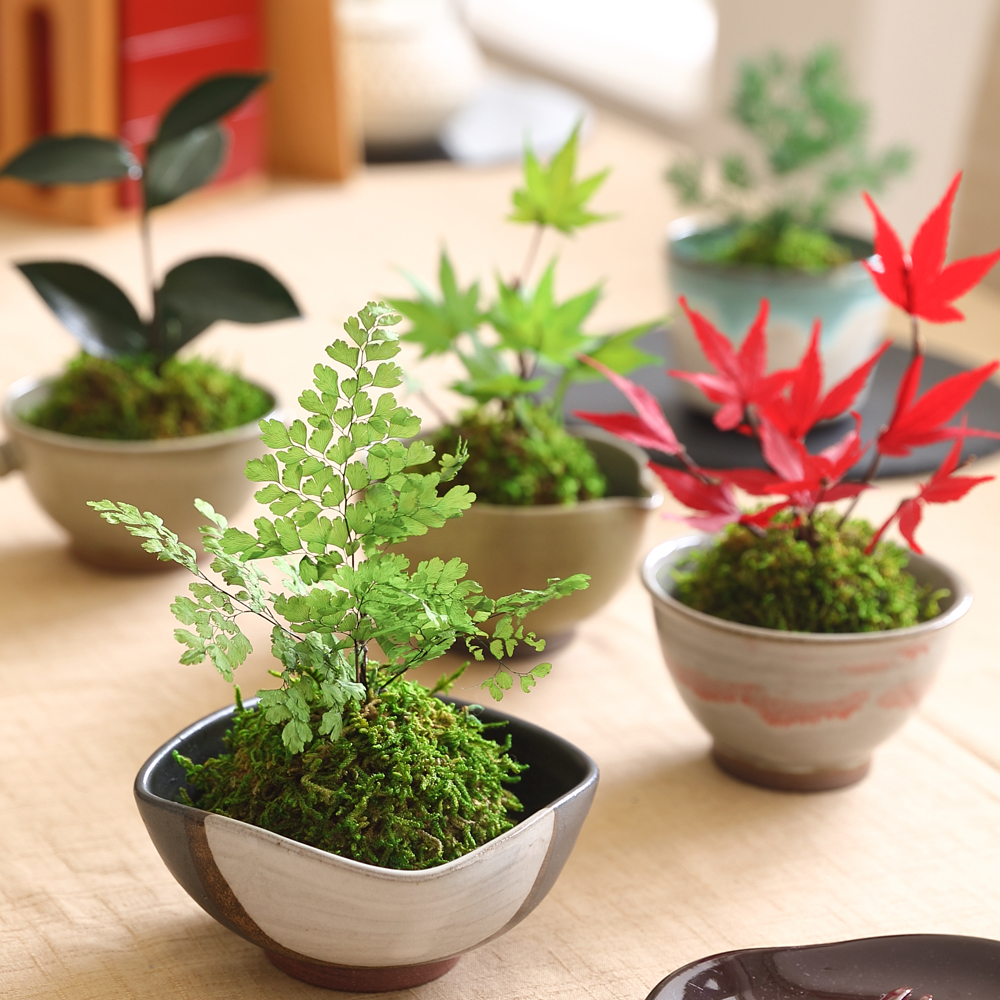 クリスマス ホワイト リース 特大 Lサイズ 玄関 飾り プリザーブド