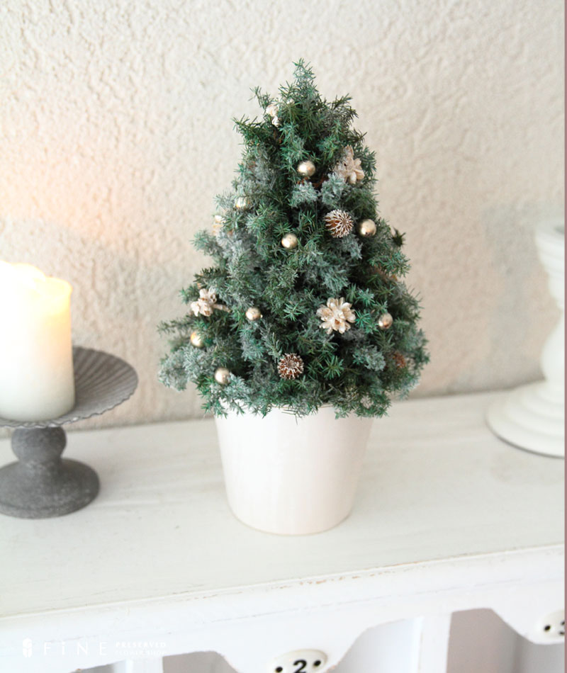 クリスマスホリデーツリー 送料無料 クリスマス ツリー 卓上ツリー