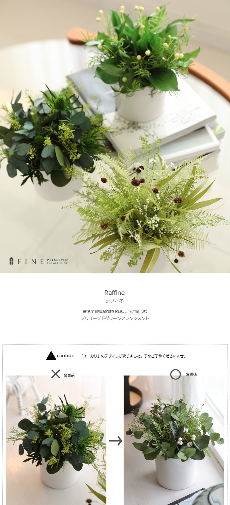 プリザーブドフラワー グリーン ギフト ラフィネ 送料無料 あすつく 開店開業 誕生日 お祝い 結婚祝い 新築祝い 春ギフト 開店祝い 開業祝い 送料無料 |  | 14