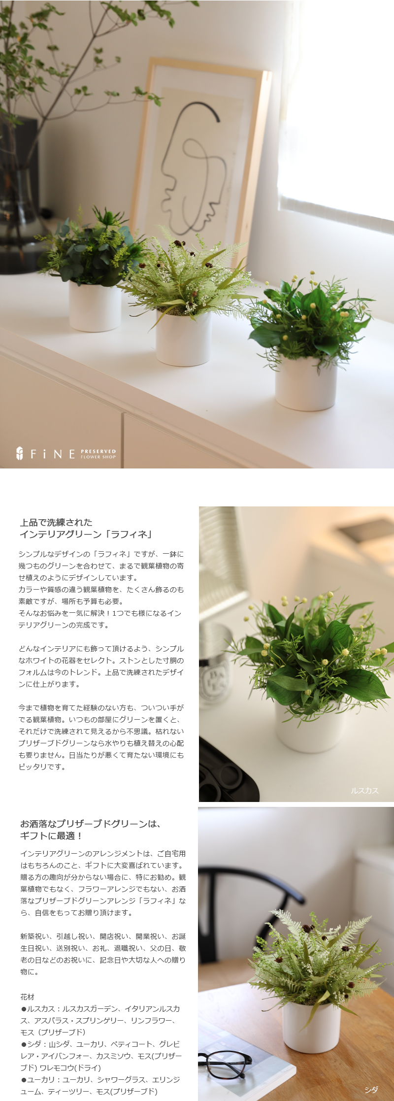 プリザーブドフラワー グリーン ギフト ラフィネ 送料無料 あすつく 開店開業 誕生日 お祝い 結婚祝い 新築祝い 春ギフト 開店祝い 開業祝い 送料無料 |  | 15