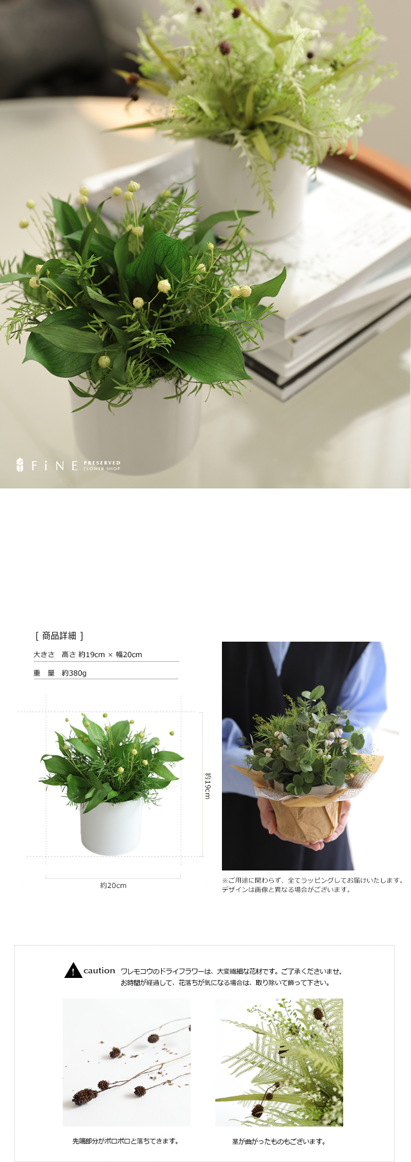 プリザーブドフラワー グリーン ギフト ラフィネ 送料無料 あすつく 開店開業 誕生日 お祝い 結婚祝い 新築祝い 春ギフト 開店祝い 開業祝い 送料無料 |  | 17