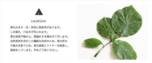 プリザーブドフラワー ギフト プレゼント ブーケ お祝い 女性 記念日 インテリア ディスプレイ 誕生日 結婚祝い 