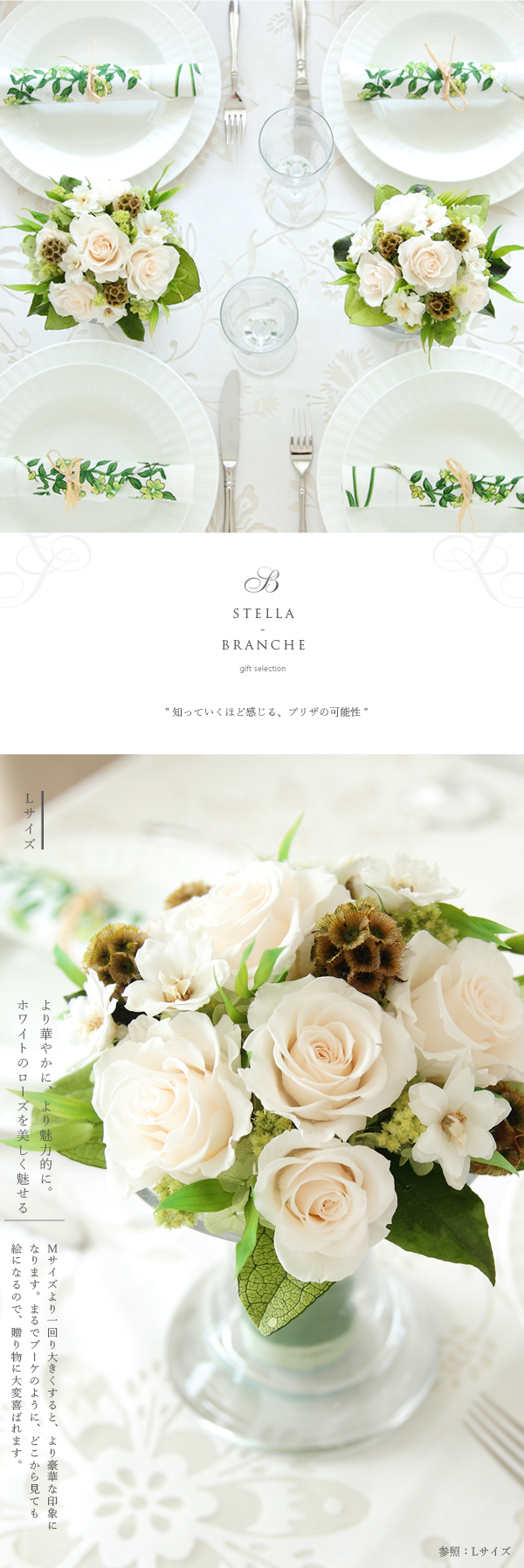 プリザーブドフラワー ステラ・ブランシュ L ギフト プレゼント 誕生日  