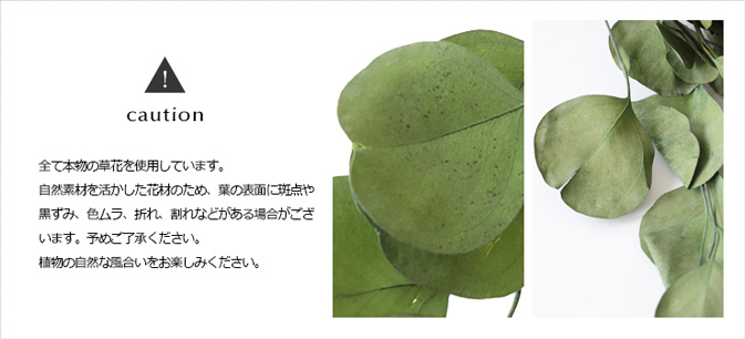 プリザーブドフラワー プレリースワッグ ナチュラル インテリアグリーン ギフト プレゼント あすつく 誕生日 お祝い 新築祝い 開店祝い 開業祝い 送料無料 |  | 08