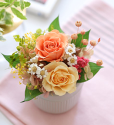 プリザーブドフラワー プレゼント ギフト 花  誕生日 結婚祝い 新築祝い 開店祝い クリアケース プリフラギフトボックスS バラ ジニア 女性 母 義母 人気｜fine-flower｜02
