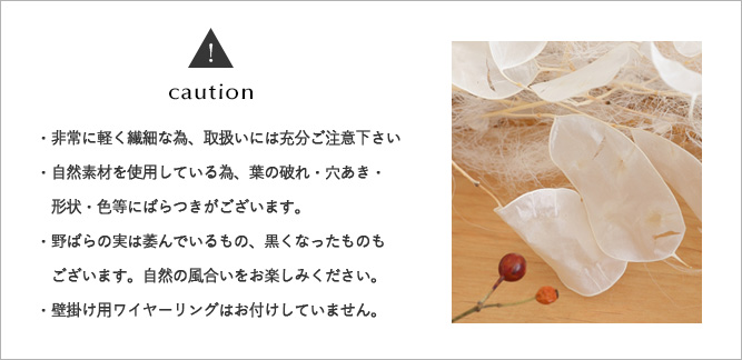 クリスマス ルナリアリース 玄関 飾り プリザーブドフラワー リース