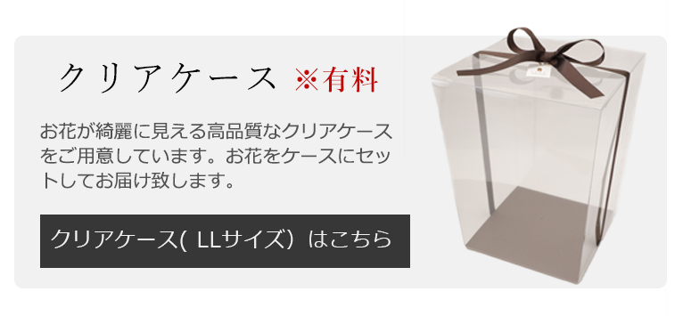 クリアケース