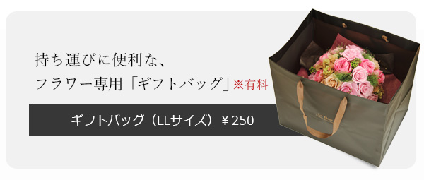 ギフトバッグ