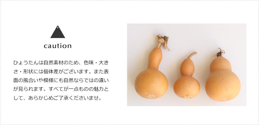 ヒカゲノカズラのおすすめ人気商品一覧 通販 - Yahoo!ショッピング