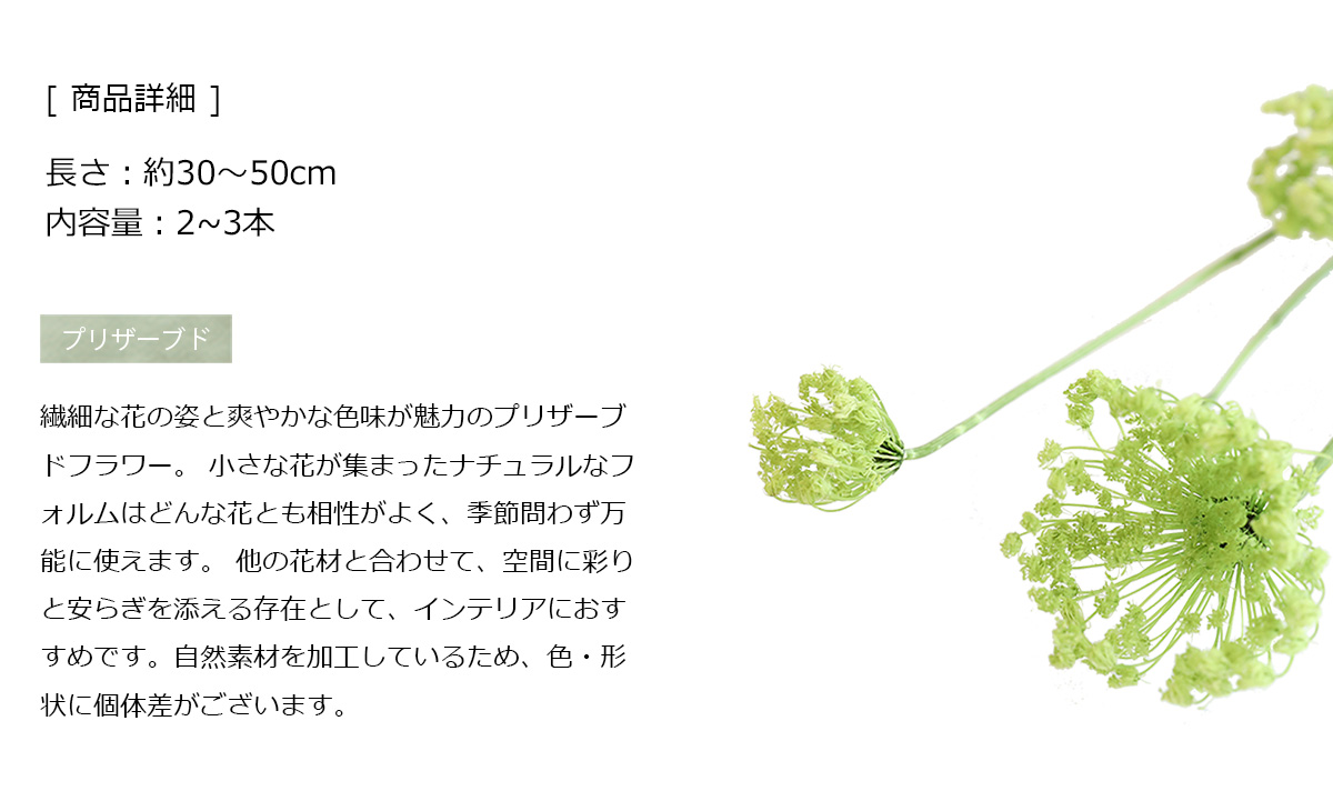 グリーンミスト ライムグリーン プリザーブドフ...の詳細画像2