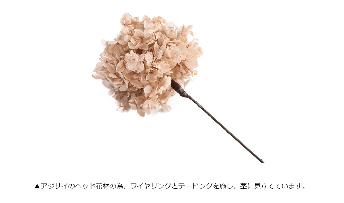 アジサイ フジイロ プリザーブドフラワー ドラ...の詳細画像4