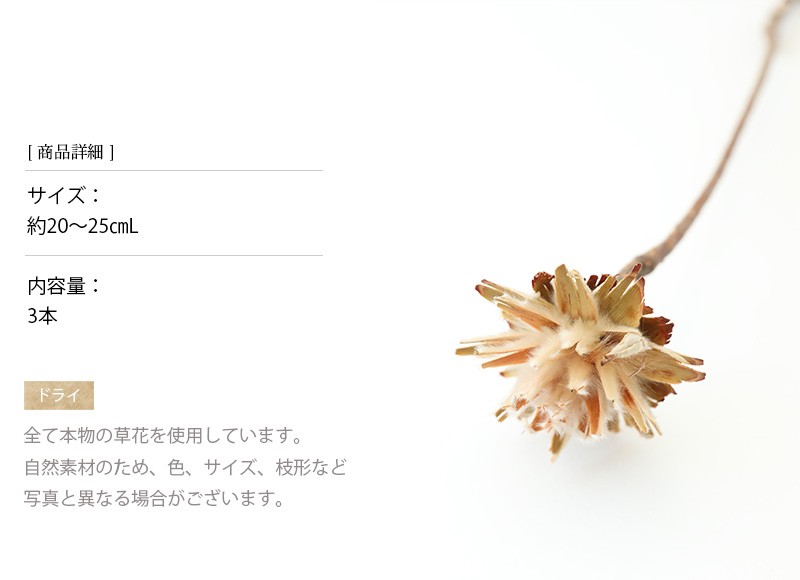 ドライフラワー