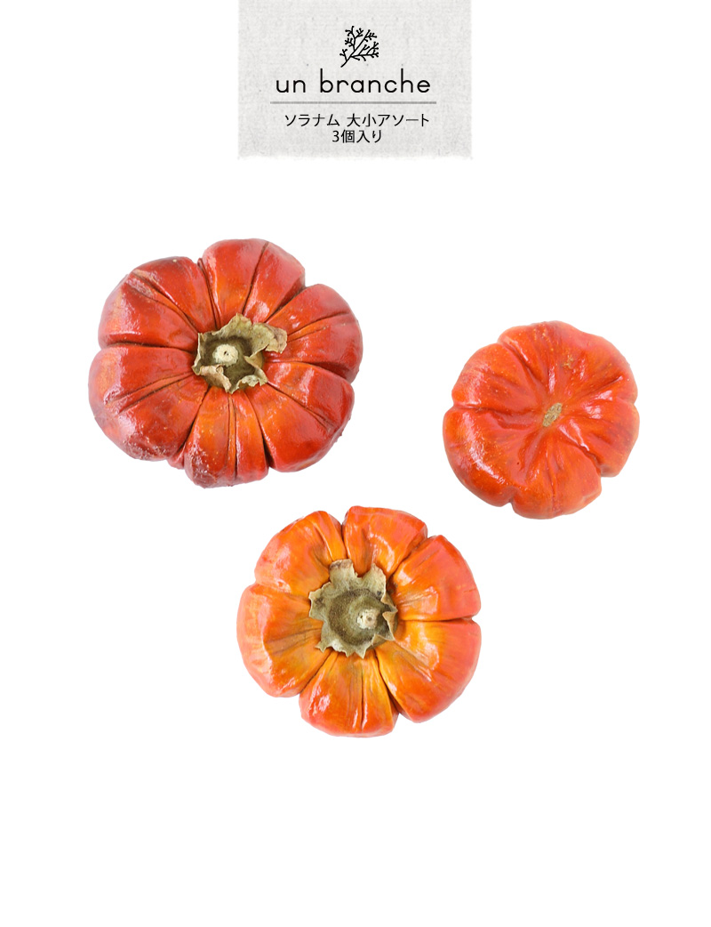 花材 ドライフラワー