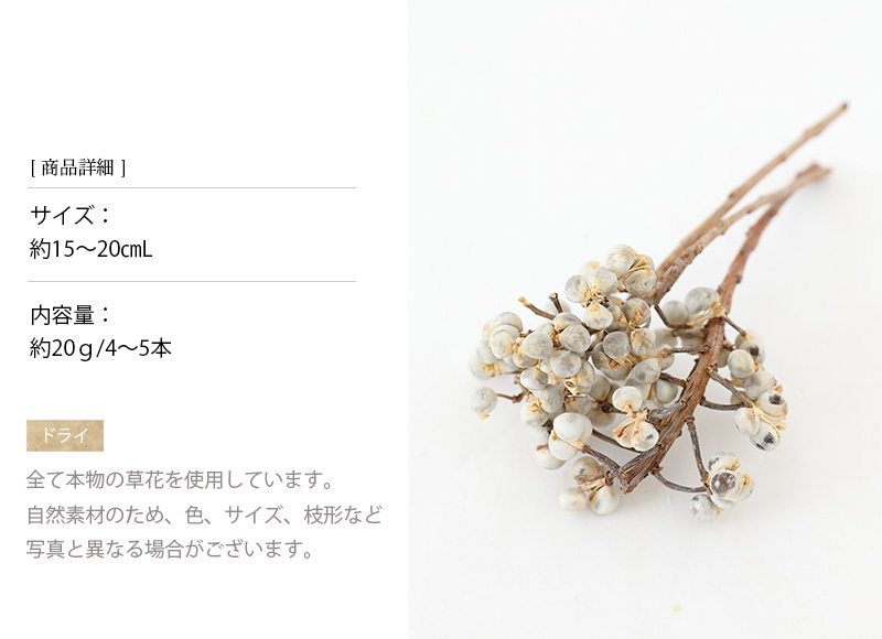 ドライフラワー