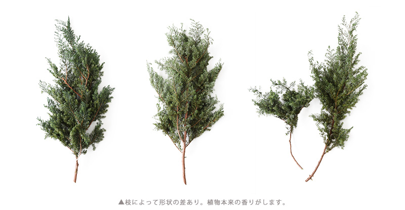プリザーブドフラワー 注意事項