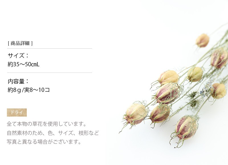 ドライフラワー