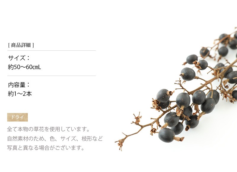 ドライフラワー