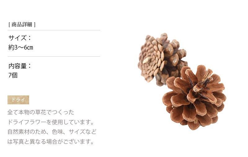 ドライフラワー
