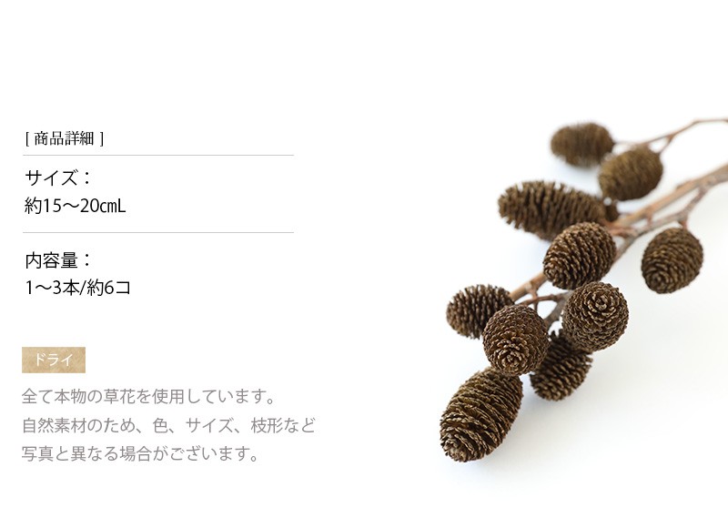 ドライフラワー