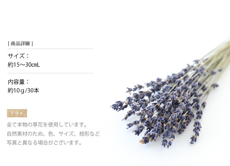 ドライフラワー