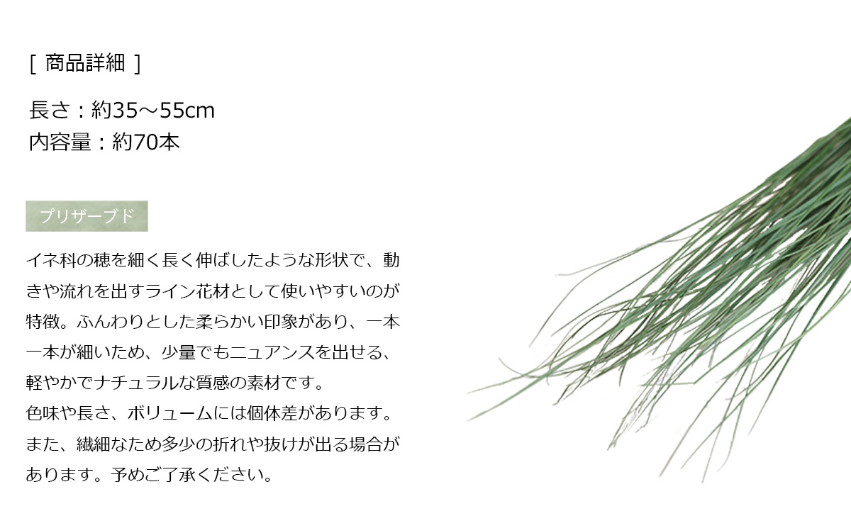 レインボーグラス グリーン プリザーブドフラワ...の詳細画像2