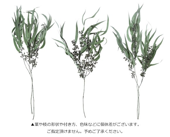 プリザーブドフラワー ドライフラワー