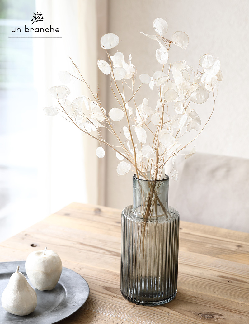 ルナリア 白 ドライフラワー 花材 販売 小分け 手作り ハンドメイド