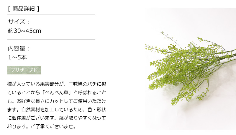 ペティーコート グリーン プリザーブドフラワー...の詳細画像2