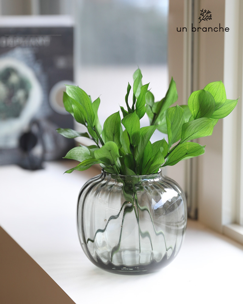 ルスカスガーデン フレッシュグリーン プリザー...の詳細画像3