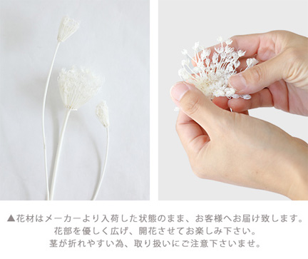 バリューセットA  プリザーブドフラワー ドライフラワー 花材 小分け ナチュラル シンプル 手作り ハンドメイド インテリア 飾り【アンブランシュ】 |  | 05