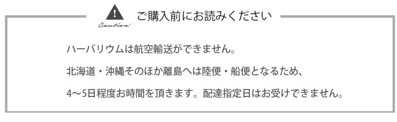 クリスマス ハーバリウム