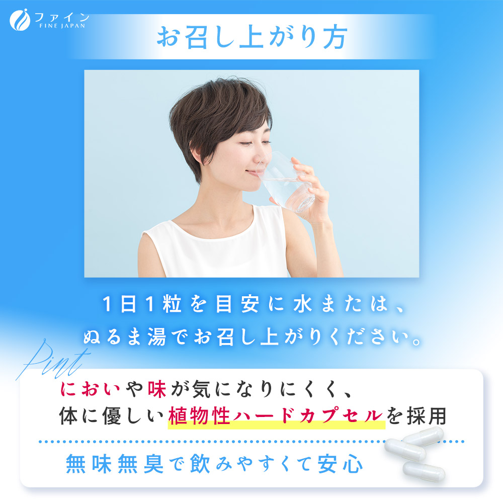 FINE JAPAN 1粒に1兆個！1兆個 の 乳酸菌 Prime 30日分 30粒