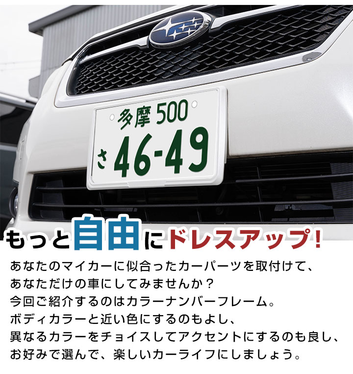 新基準対応】 前後2枚セット カラーナンバーフレーム ナンバー