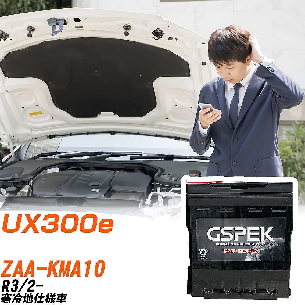 【低距離12.5km】18 シーボーグ 300JL ＋ リチウムバッテリー2本付 レクサス UX300e バッテリー LN0 ZAA-KMA10 R3/2- D-54418/PL GSPEK