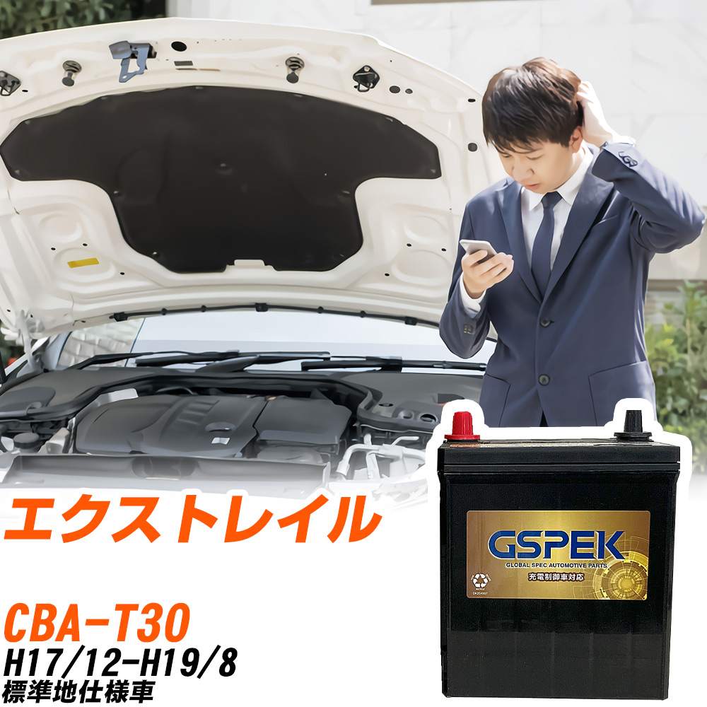 日産 エクストレイル バッテリー G-65B24L/PL CBA-T30 H17/12-H19/8