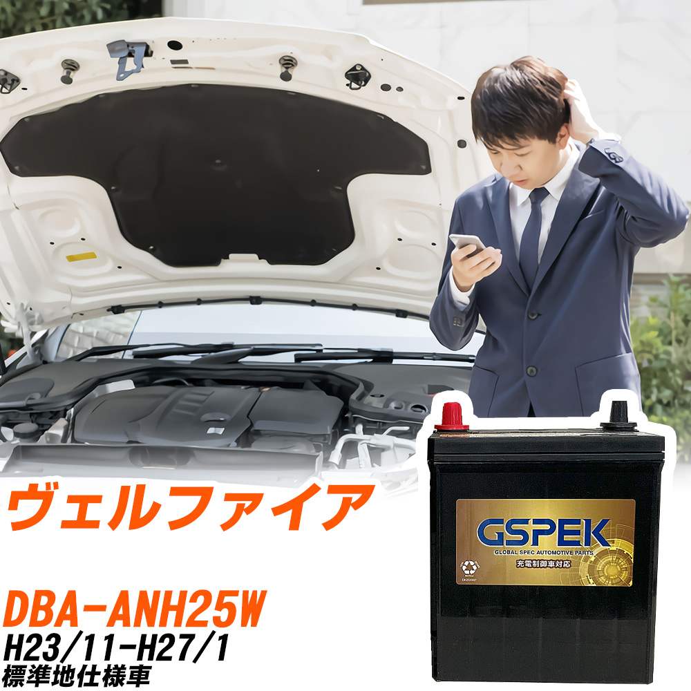 車用バッテリー　GSPEK D-56219\PL バッテリー GSPEK D-56219/PL LN2 タイプ互換品 正規品 メーカー保証