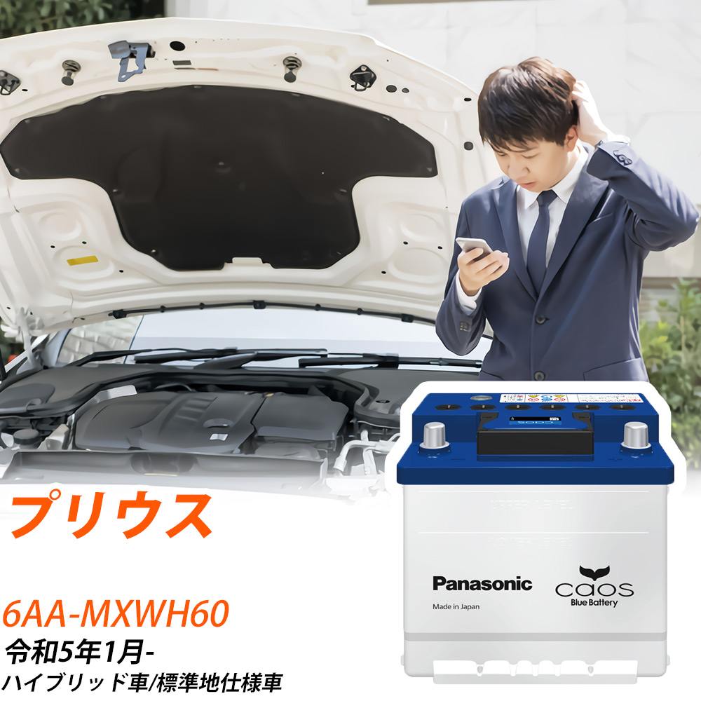 ご注文分 新品 ゼオスキン デイリーPD2本 バランサートナー エクスフォリ