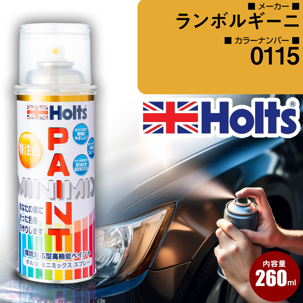 �����{���M�[�j �J�[�y�C���g�X�v���[ 0115 GRIGIO ESTOQUE Holts �J���[�X�v���[  �� �I���W�i���I�[�_�[�J���[�yTU&amp;SP�z(�X�v���[)