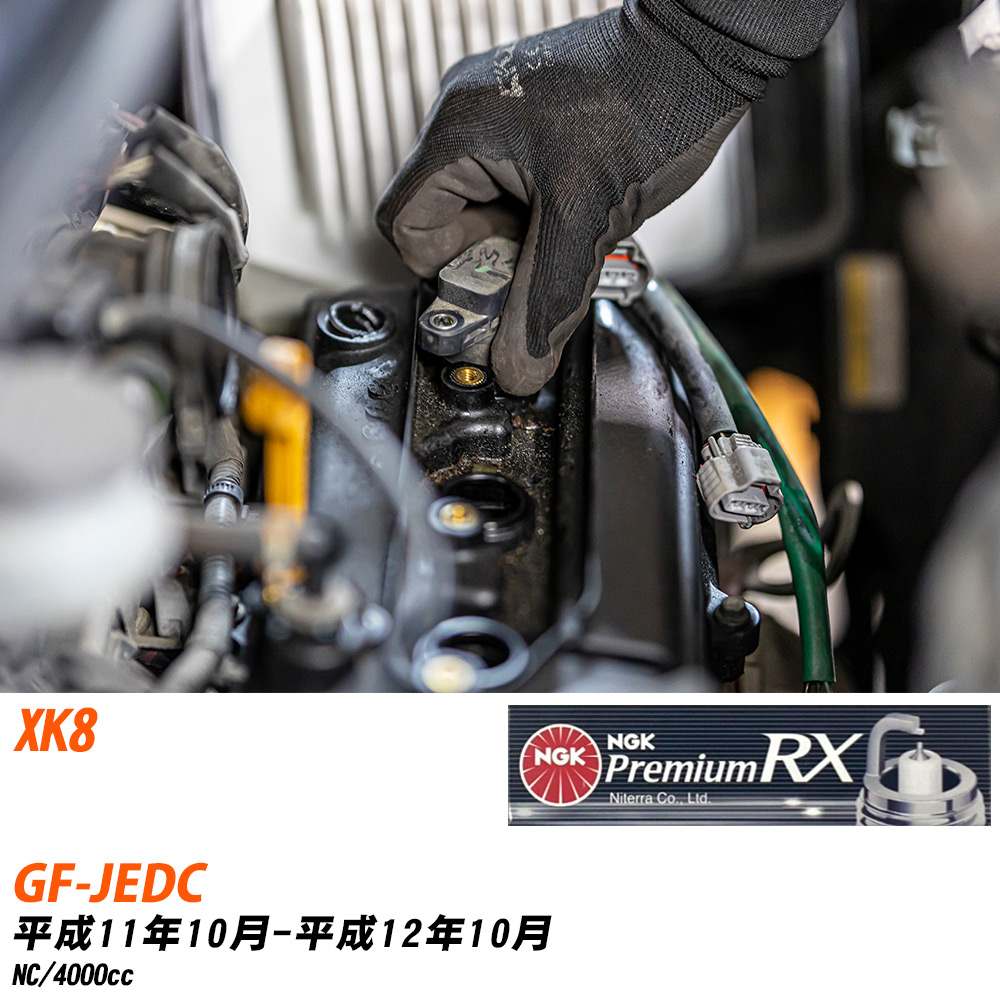 NGK スパークプラグ ジャガー XK8 GF-JEDC H11年10月-H12年10月 BKR5ERX-11P 8本セット プレミアムRXプラグ 【H04006】