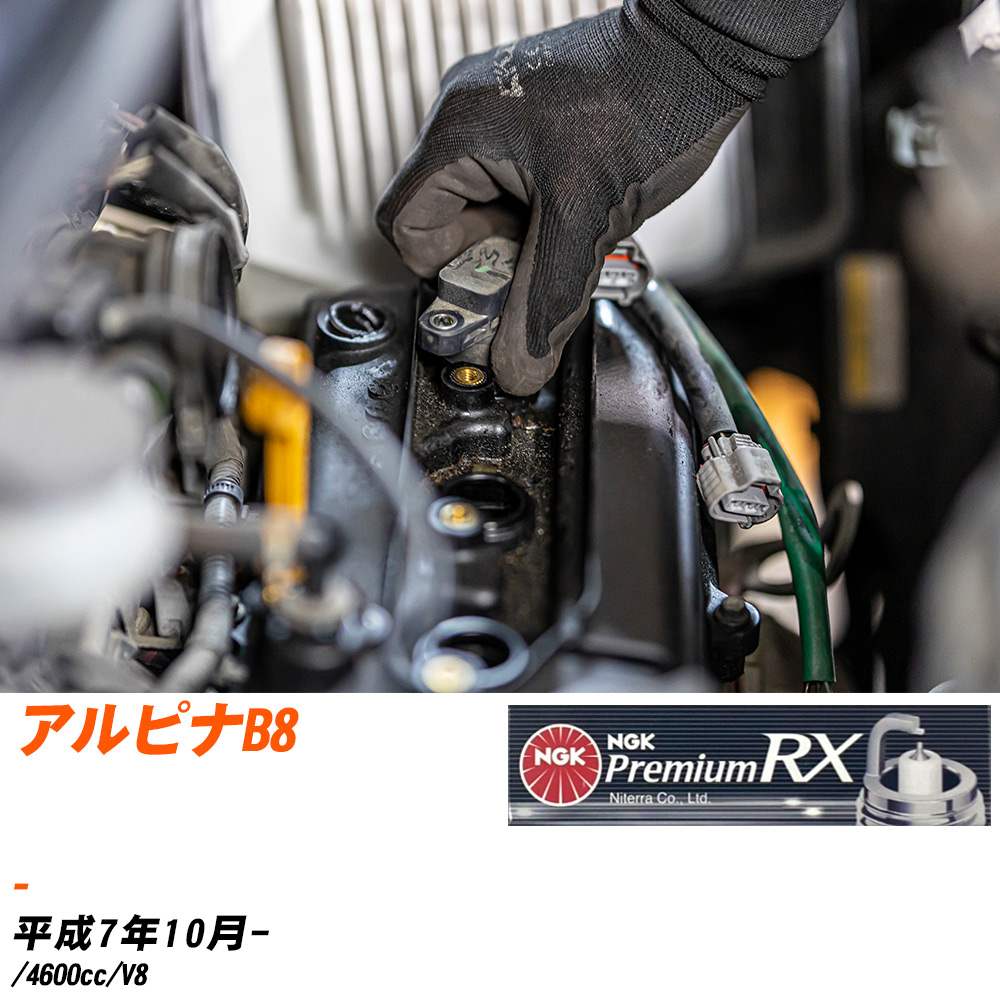 NGK �X�p�[�N�v���O BMW �A���s�i B8 - H7�N10��- BKR6ERX-PS 8�{�Z�b�g �v���~�A��RX�v���O �yH04006�z