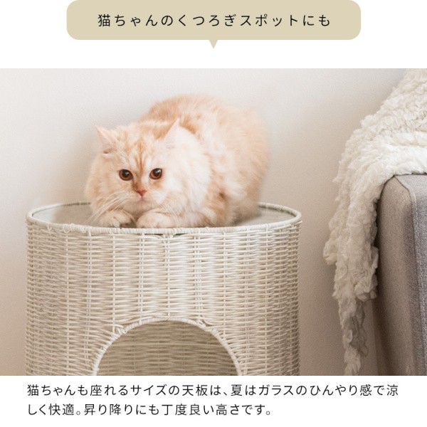 キャットハウス サイドテーブル 経40cm ラタン調 ガラス天板 テーブル