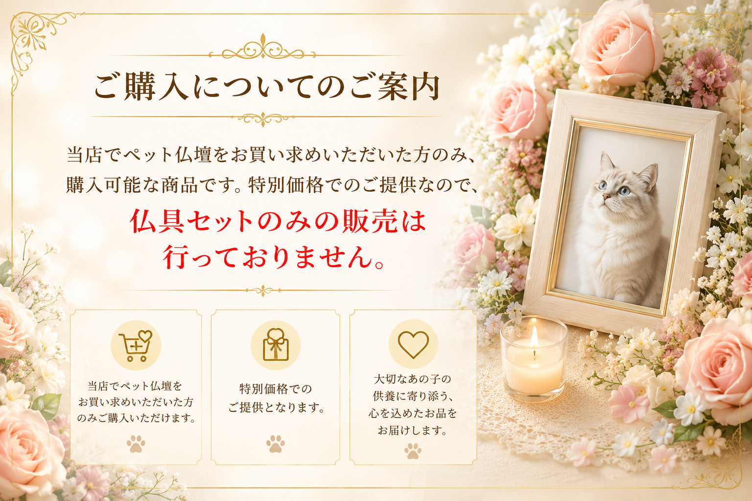 インフォメーション