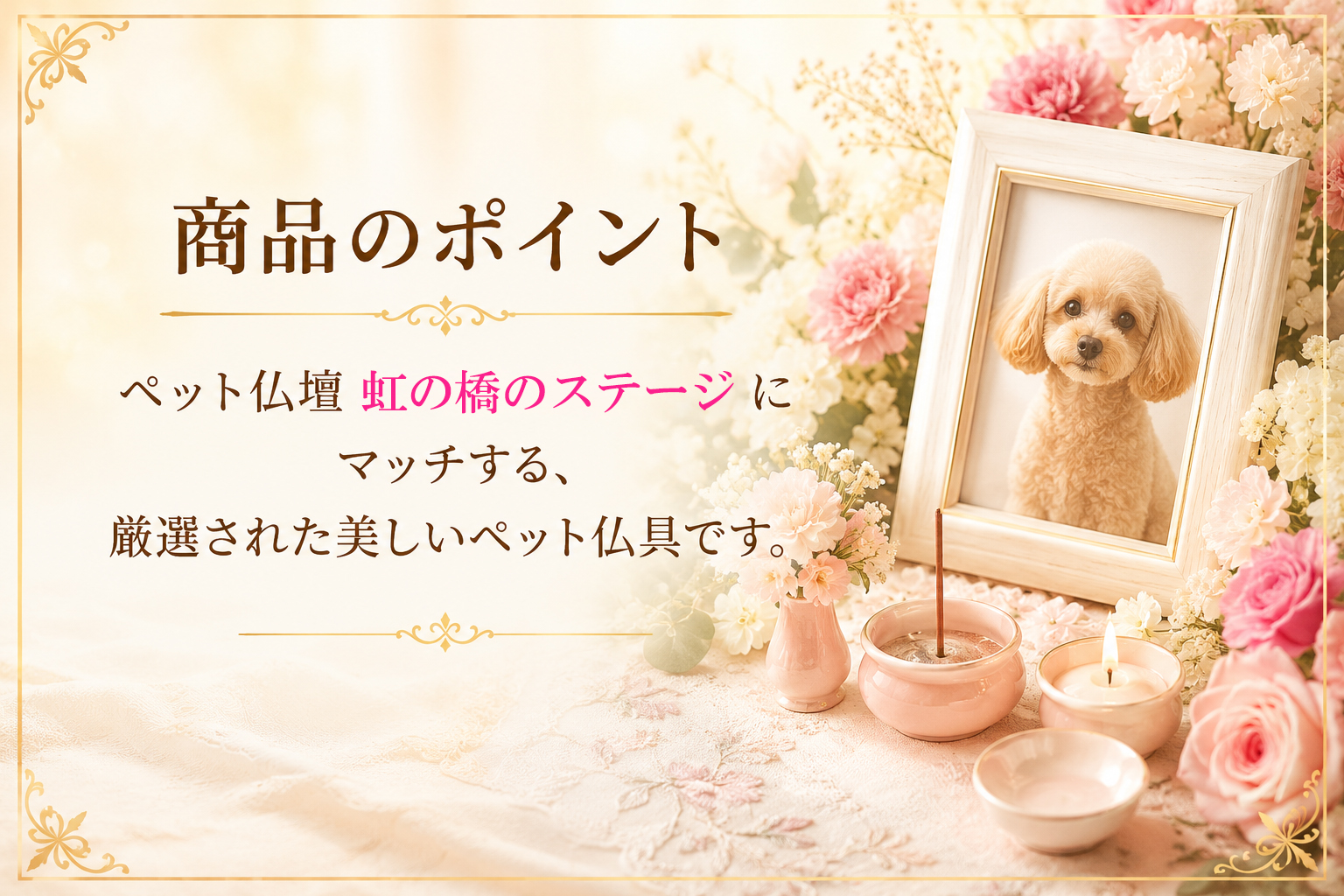 商品のポイント